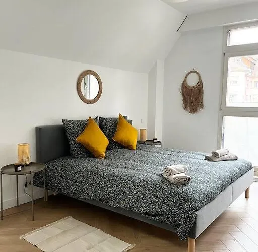 公寓 Cocon D'alsace